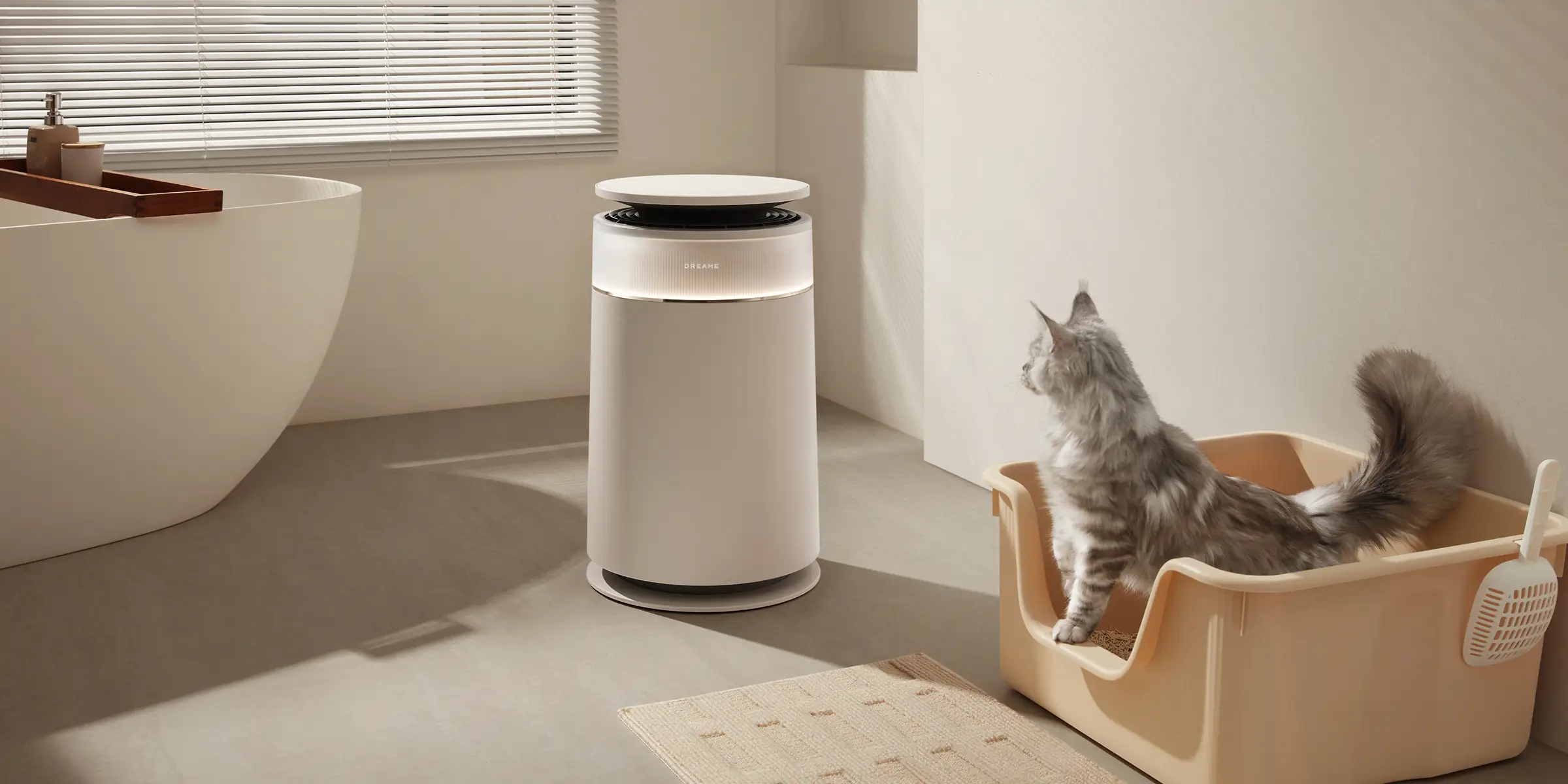Dreame FP10 Review: A Pet-Focused Air Purifier That Feels Thought Through