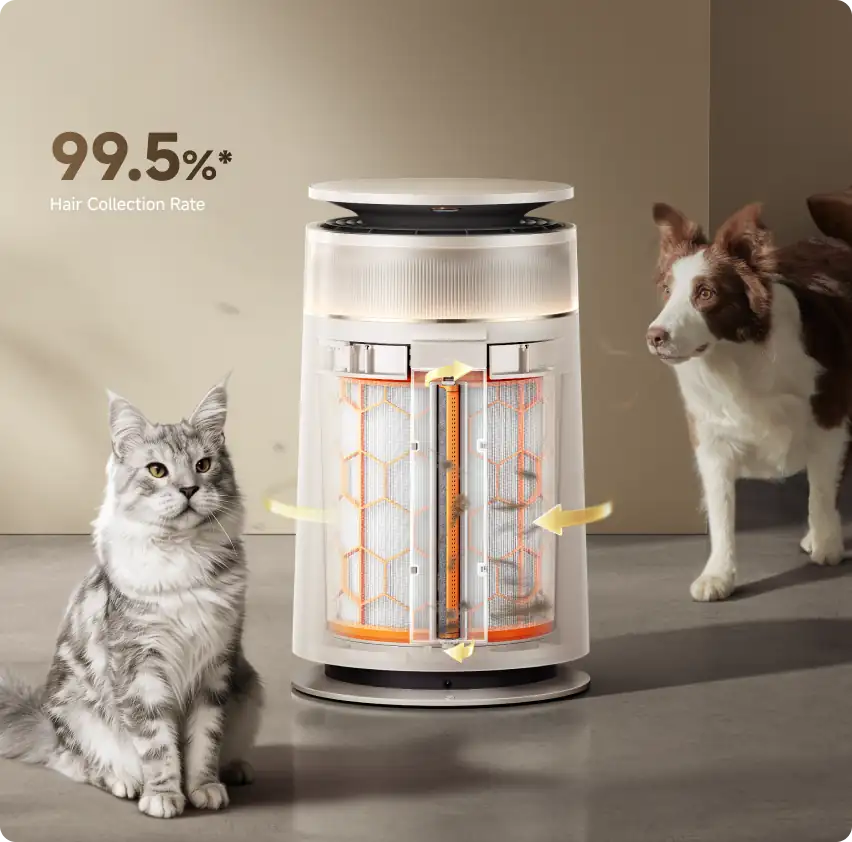 Dreame FP10 Review: A Pet-Focused Air Purifier That Feels Thought Through