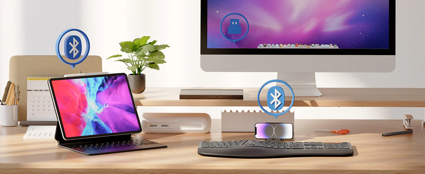 ProtoArc EK01 Plus Backlit Ergonomic Keyboard Review: A Smart Ergonomic Buy That Gets the Important Things Right