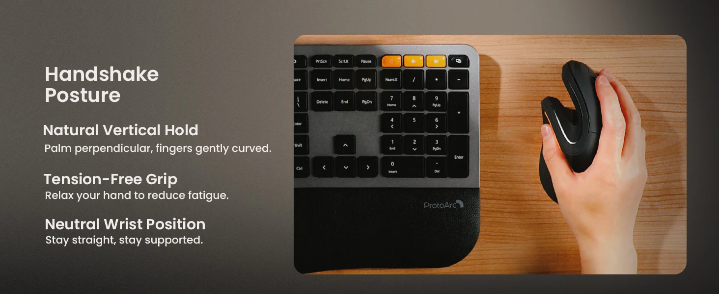 ProtoArc EM11 NL Ergonomic Vertical Mouse Review: the budget vertical mouse that gets the fundamentals right