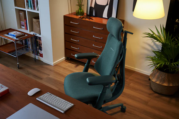 LiberNovo Omni Review: A wildly comfortable chair with a few expensive risks LiberNovo Omni Review: A wildly comfortable chair with a few expensive risks